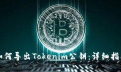 如何导出Tokenim公钥：详细指南