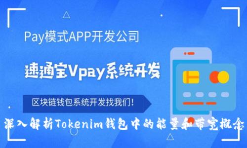 深入解析Tokenim钱包中的能量和带宽概念