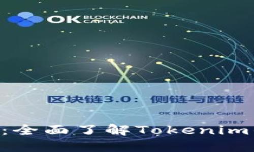 Tokenim查询：全面了解Tokenim的平台与服务