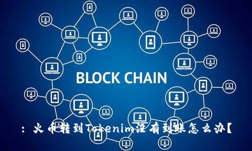 : 火币转到Tokenim没有到账怎么办？