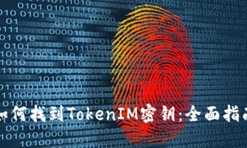 如何找到TokenIM密钥：全面指南