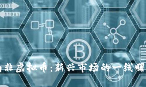 南非虚拟币:新兴市场的一线曙光
