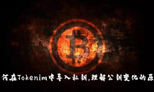 如何在Tokenim中导入私钥，理解公钥变化的原因