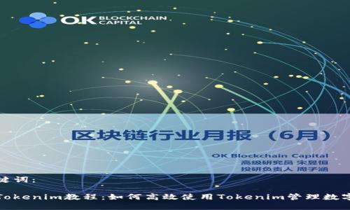 和关键词：

新版Tokenim教程：如何高效使用Tokenim管理数字资产