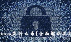 br虚拟币Datum是什么币？全面解析其特点与应用