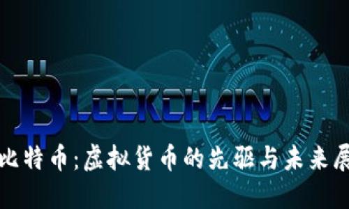 : 比特币：虚拟货币的先驱与未来展望
