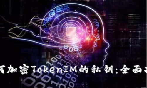 如何加密TokenIM的私钥：全面指南