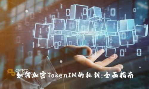 如何加密TokenIM的私钥：全面指南