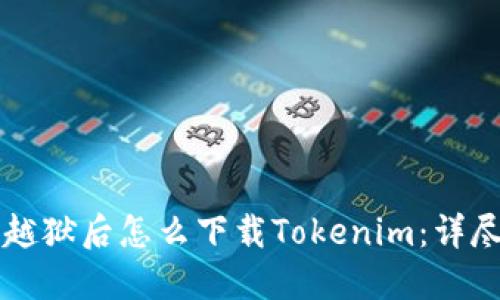 苹果越狱后怎么下载Tokenim：详尽指南