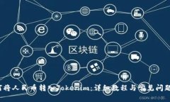  如何将人民币转入Tokenim：详细教程与常见问题解