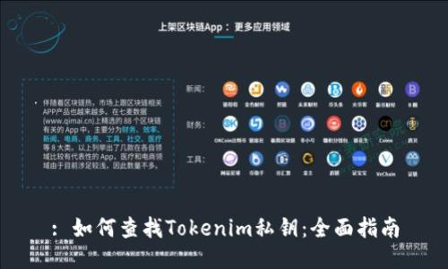 : 如何查找Tokenim私钥：全面指南