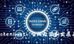 : Tokenimeth：它的起源和发展历程