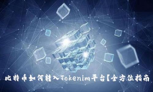 比特币如何转入Tokenim平台?全方位指南