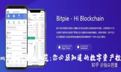 Tokenim支持的币种一览：你必须知道的数字资产投