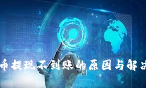 虚拟币提现不到账的原因与解决方法