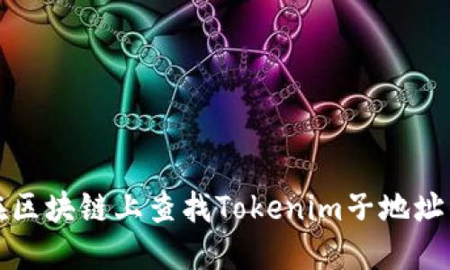 如何在区块链上查找Tokenim子地址的信息