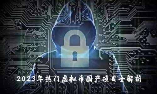2023年热门虚拟币国产项目全解析
