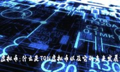 TON虚拟币：什么是TON虚拟币以及它的未来发展潜