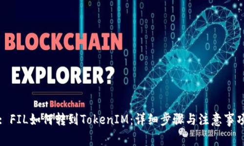 : FIL如何转到TokenIM：详细步骤与注意事项