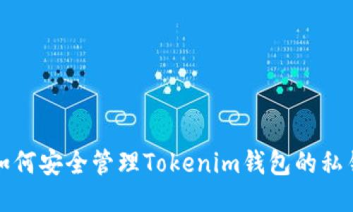如何安全管理Tokenim钱包的私钥