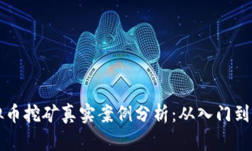 虚拟币挖矿真实案例分析:从入门到盈利
