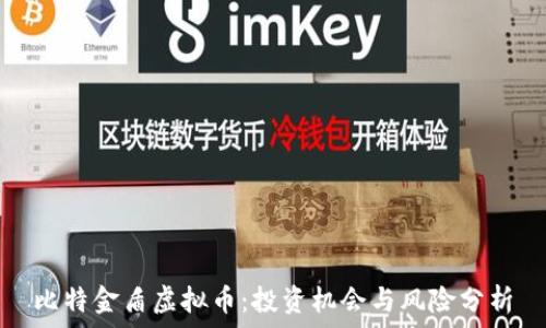 比特金盾虚拟币:投资机会与风险分析