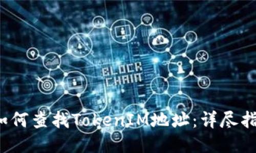  如何查找TokenIM地址：详尽指南