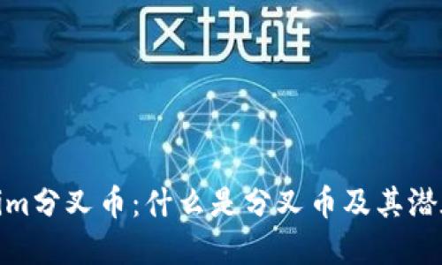 Tokenim分叉币:什么是分叉币及其潜在价值