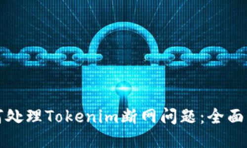 如何处理Tokenim断网问题：全面指南