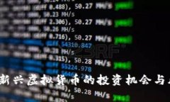 狮子币：新兴虚拟货币的投资机会与风险分析