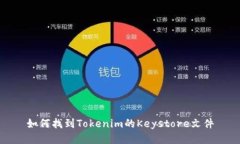 如何找到Tokenim的Keystore文件