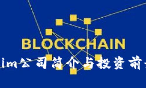 Tokenim公司简介与投资前景分析