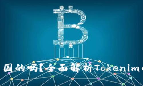Tokenim是中国的吗?全面解析Tokenim的背景与发展
