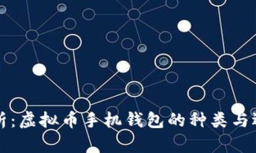 全面解析：虚拟币手机钱包的种类与选择指南