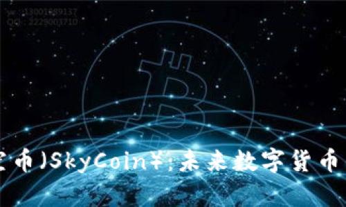 深入了解天空币(SkyCoin):未来数字货币的潜力与应用