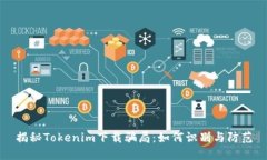 揭秘Tokenim下载骗局：如何识别与防范