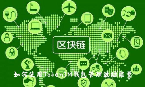 如何使用TokenIM钱包管理波场能量