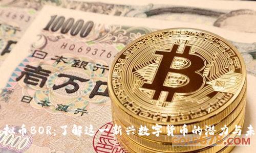 虚拟币BOR:了解这一新兴数字货币的潜力与未来