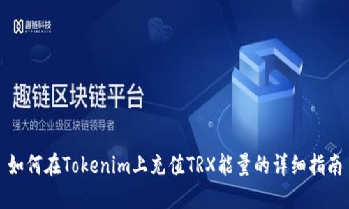 如何在Tokenim上充值TRX能量的详细指南