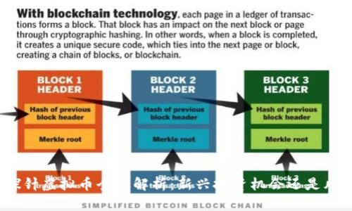 : 超级探针虚拟币全面解析:新兴投资机会还是风险陷阱?
