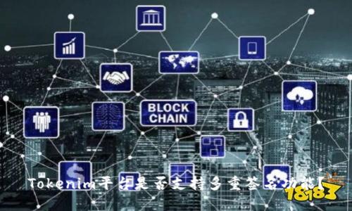 Tokenim平台是否支持多重签名功能?