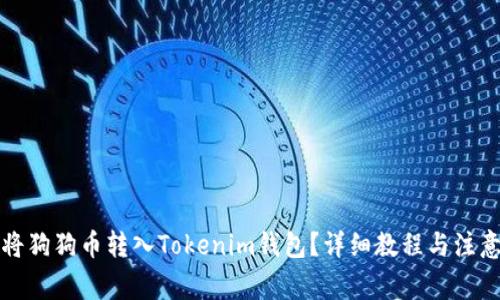 如何将狗狗币转入Tokenim钱包?详细教程与注意事项