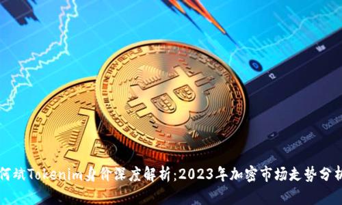 何斌Tokenim身价深度解析：2023年加密市场走势分析