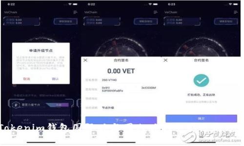 Tokenim钱包国际版与国内版的主要区别分析