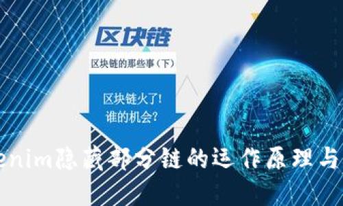 Tokenim隐藏部分链的运作原理与应用