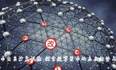 虚拟币交易沙盒试验：探索数字货币的未来趋势