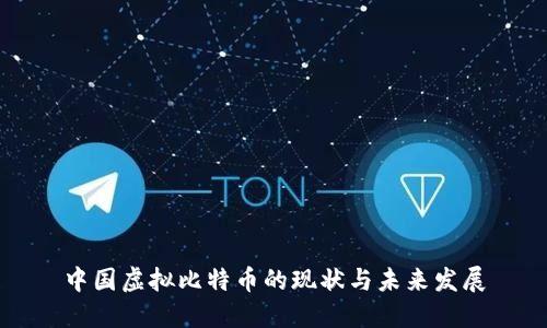 中国虚拟比特币的现状与未来发展