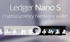 虚拟泰山币：数字货币的未来与应用