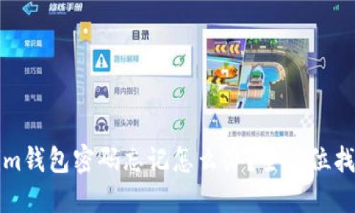 Tokenim钱包密码忘记怎么办？全方位找回指南