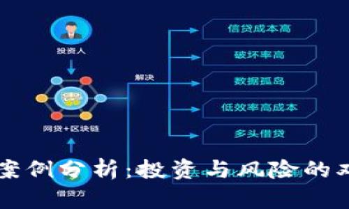 虚拟币案例分析:投资与风险的双重挑战